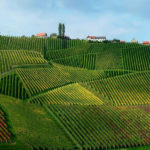 weingut