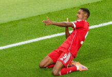 Highlights: Liverpool FC 2:1 Southampton